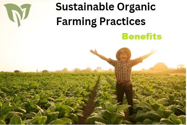 Benefits of Sustainable Organic Farming Benefits of Sustainable Organic Farming