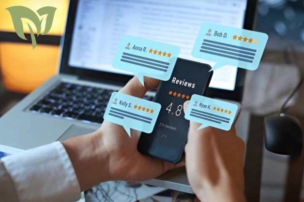 Customer Reviews and Feedback Customer Reviews and Feedback