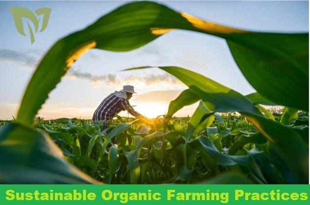 Sustainable Organic Farming Practices