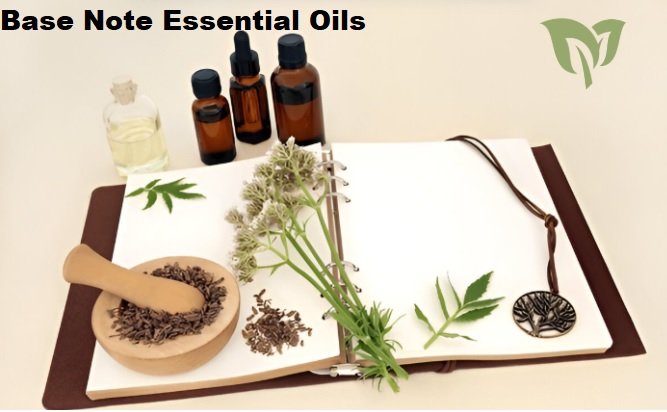 Base Note Essential Oils