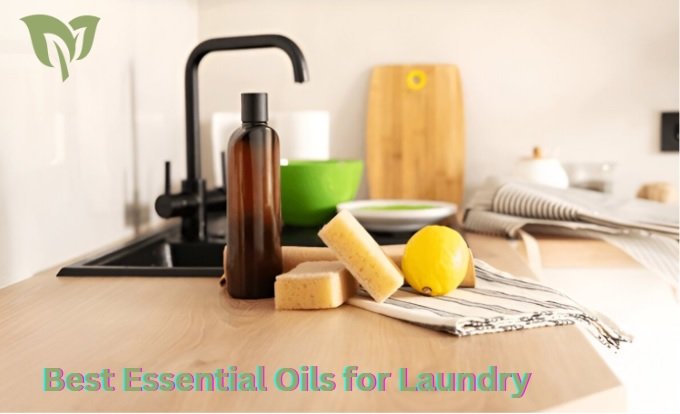 Best Essential Oils for Laundry