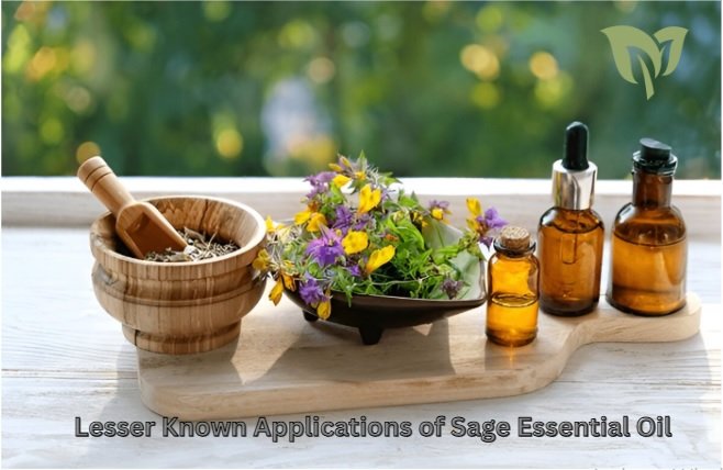 Lesser Known Applications of Sage Essential Oil Lesser Known Applications of Sage Essential Oil