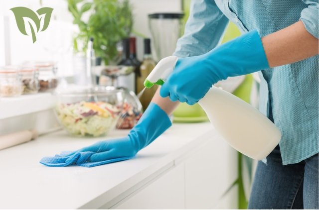 Maintenance and Cleaning Tips Maintenance and Cleaning Tips