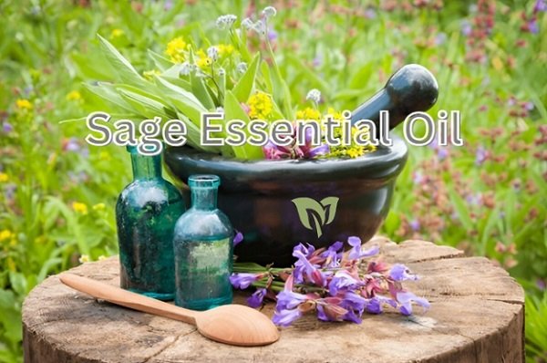 Sage Essential Oil