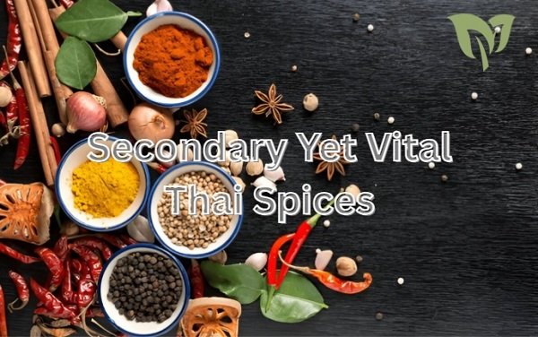 Secondary Yet Vital Thai Spices Secondary Yet Vital Thai Spices
