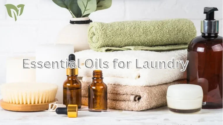 Essential Oils for Laundry