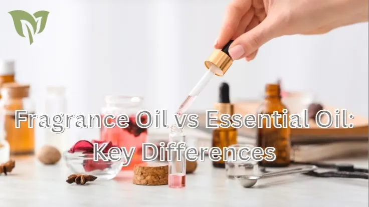Fragrance Oil vs Essential Oil Fragrance Oil vs Essential Oil