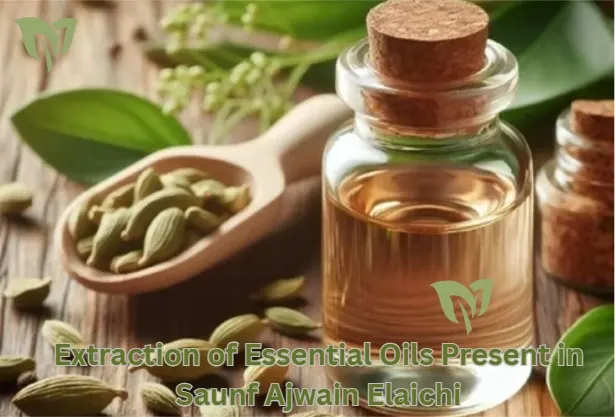 Extraction of Essential Oils Present in Saunf Ajwain Elaichi