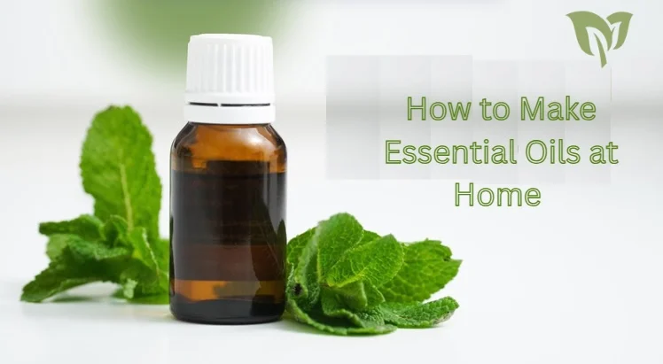 How to Make Essential Oils at Home