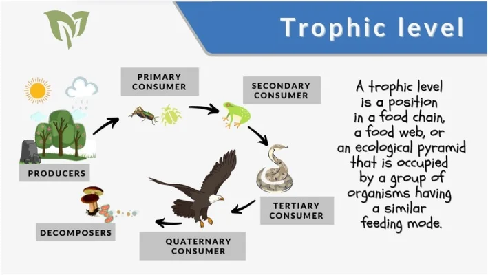 Why Do Organisms Take Food