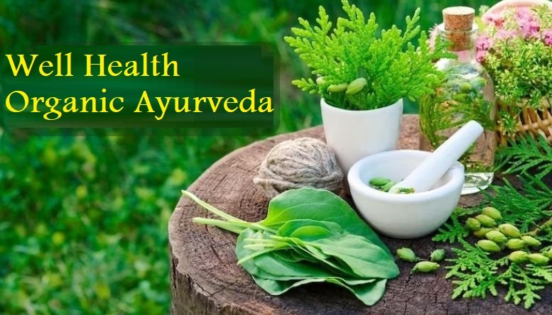 Well Health Organic Ayurveda