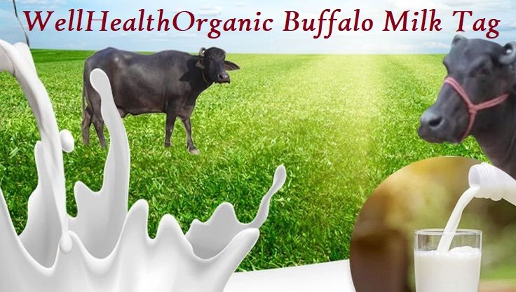 WellHealthOrganic Buffalo Milk Tag