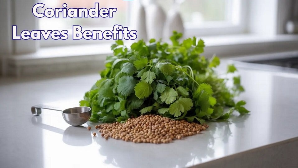 Coriander Leaves Benefits